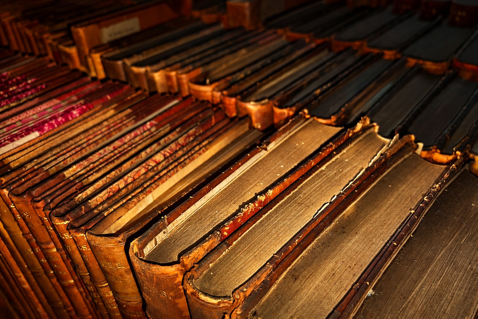 Close up profile of library book spines