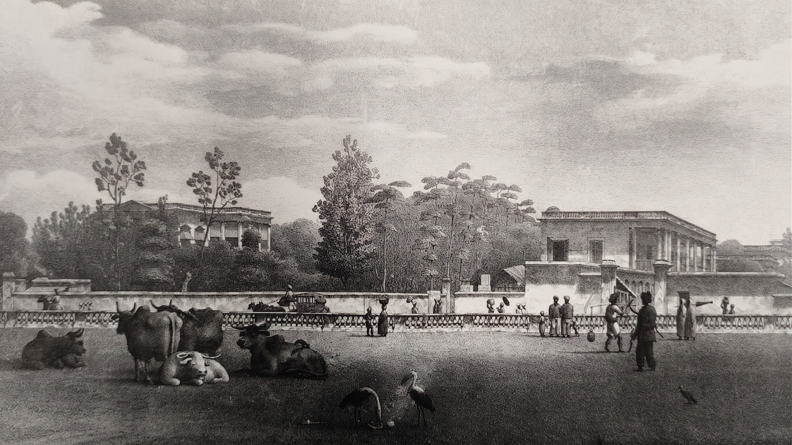 Chowringhee Road (Kyd Street)