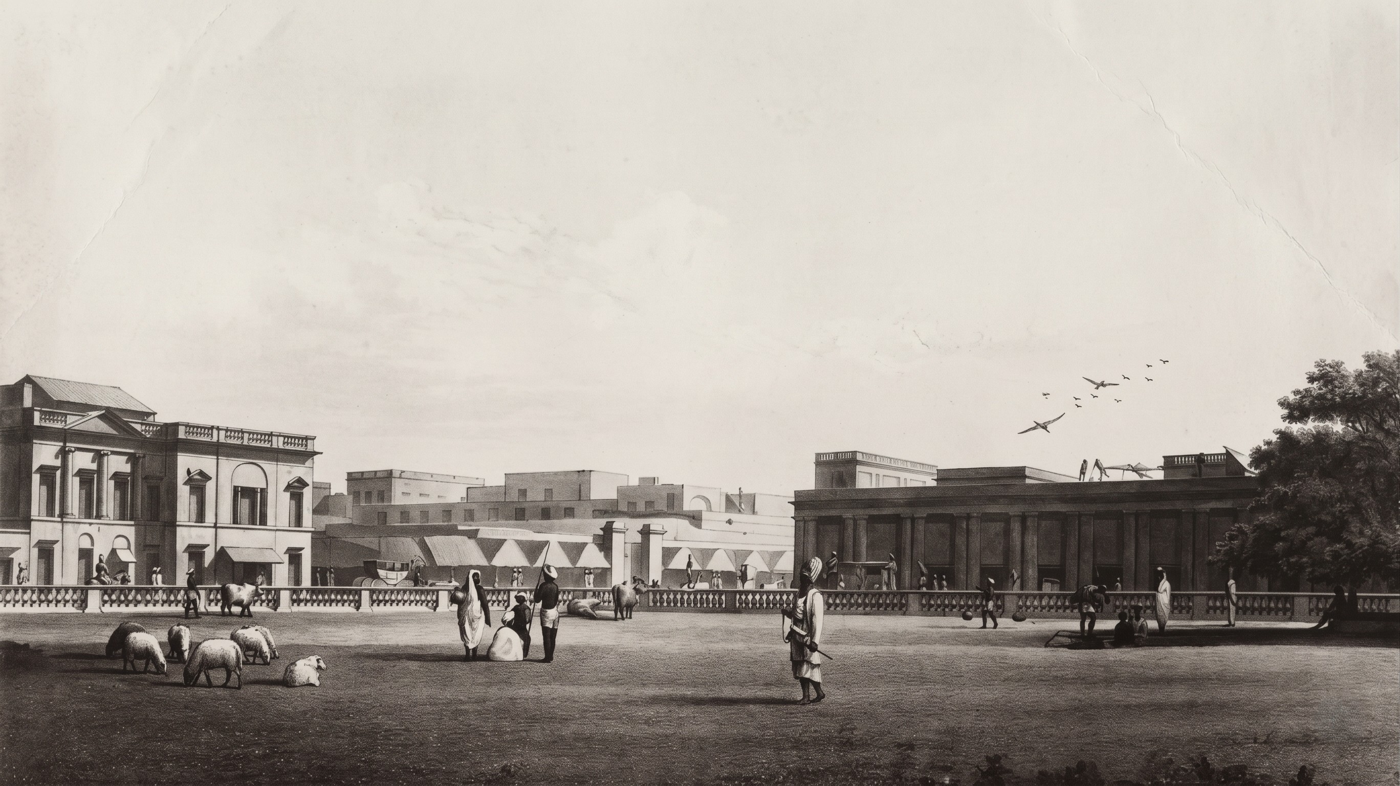 Esplanade Row (Cossitollah Road & Durrumtollah Road), Chowringhee Road (Oil Bazaar)